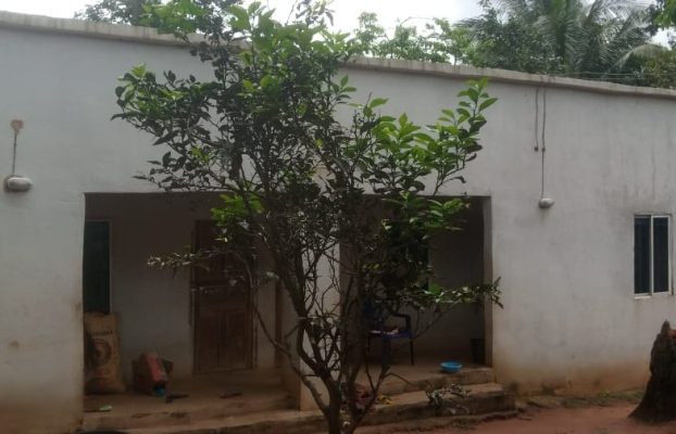 Construction of houses for widows