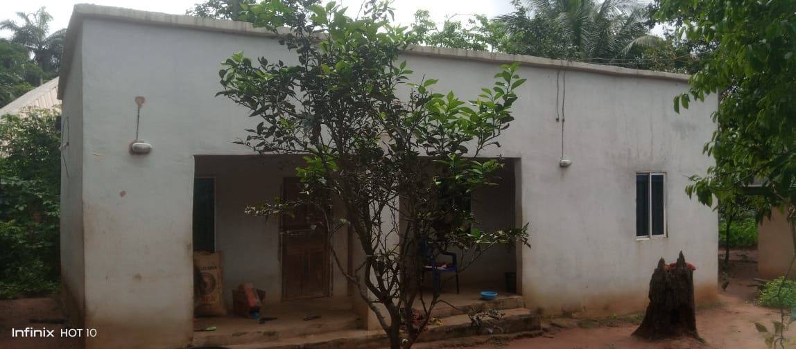 Construction of houses for widows